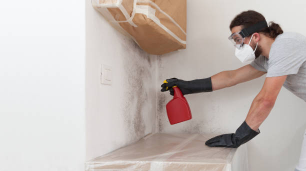 Professional Crawl Space Mold Removal technician working in Frederick, CO
