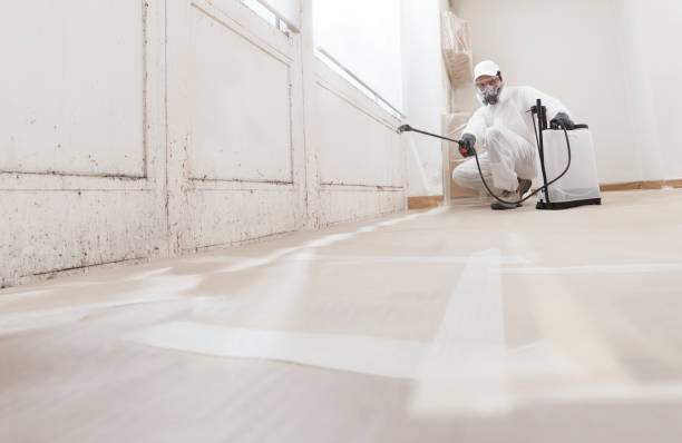 24/7 Emergency Crawl Space Mold Removal experts in Frederick, CO